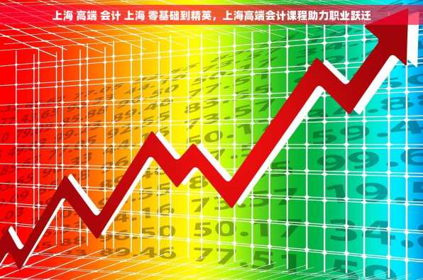 上海 高端 会计 上海 零基础到精英，上海高端会计课程助力职业跃迁