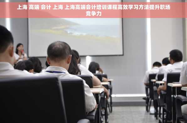 上海 高端 会计 上海 上海高端会计培训课程高效学习方法提升职场竞争力