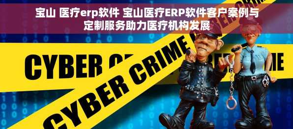 宝山 医疗erp软件 宝山医疗ERP软件客户案例与定制服务助力医疗机构发展