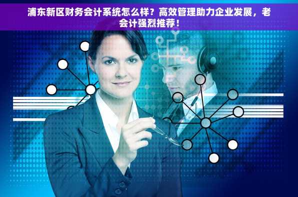 浦东新区财务会计系统怎么样？高效管理助力企业发展，老会计强烈推荐！