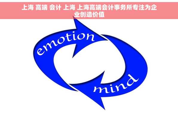 上海 高端 会计 上海 上海高端会计事务所专注为企业创造价值