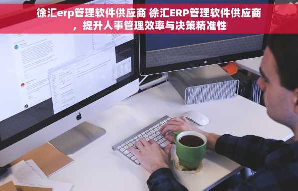 徐汇erp管理软件供应商 徐汇ERP管理软件供应商，提升人事管理效率与决策精准性