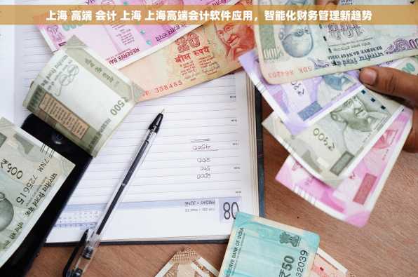 上海 高端 会计 上海 上海高端会计软件应用，智能化财务管理新趋势