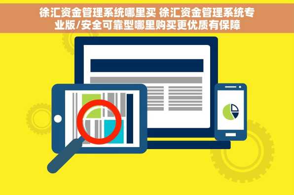 徐汇资金管理系统哪里买 徐汇资金管理系统专业版/安全可靠型哪里购买更优质有保障