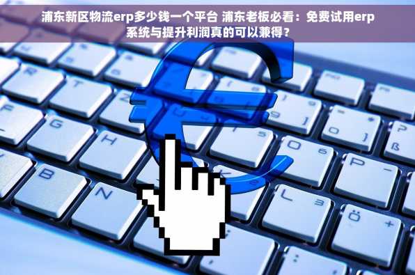 浦东新区物流erp多少钱一个平台 浦东老板必看：免费试用erp系统与提升利润真的可以兼得？