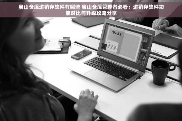 宝山仓库进销存软件有哪些 宝山仓库管理者必看：进销存软件功能对比与升级攻略分享
