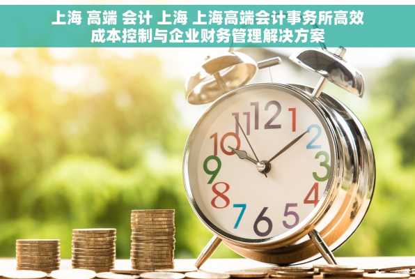 上海 高端 会计 上海 上海高端会计事务所高效成本控制与企业财务管理解决方案