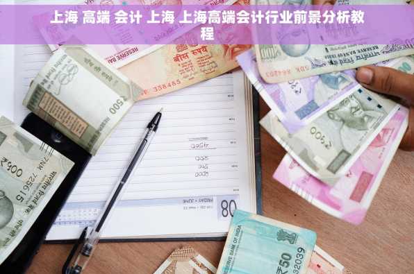 上海 高端 会计 上海 上海高端会计行业前景分析教程