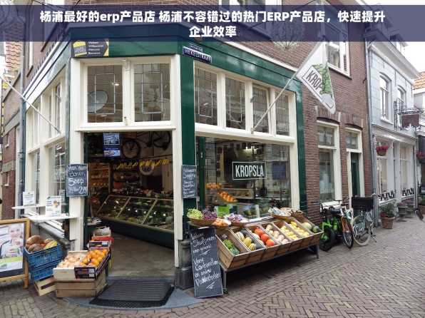 杨浦最好的erp产品店 杨浦不容错过的热门ERP产品店，快速提升企业效率