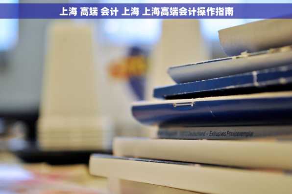 上海 高端 会计 上海 上海高端会计操作指南