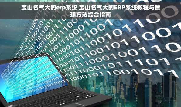 宝山名气大的erp系统 宝山名气大的ERP系统教程与管理方法综合指南