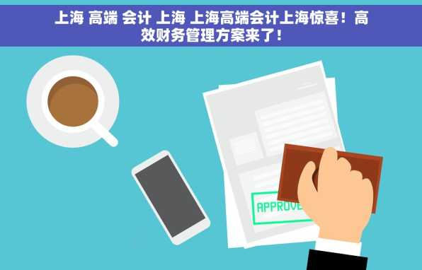 上海 高端 会计 上海 上海高端会计上海惊喜！高效财务管理方案来了！