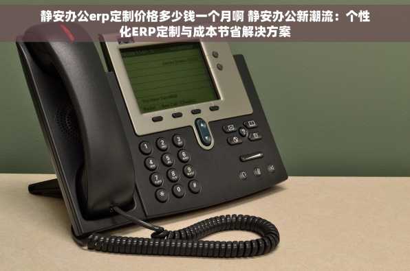 静安办公erp定制价格多少钱一个月啊 静安办公新潮流：个性化ERP定制与成本节省解决方案