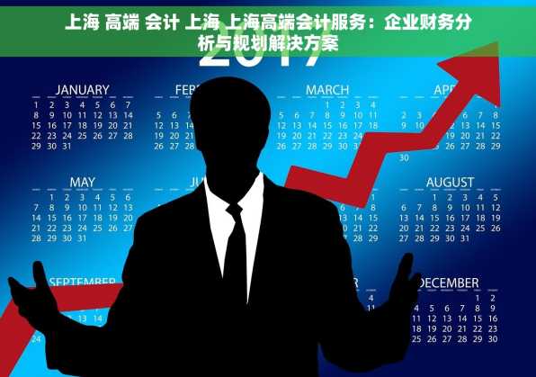 上海 高端 会计 上海 上海高端会计服务：企业财务分析与规划解决方案