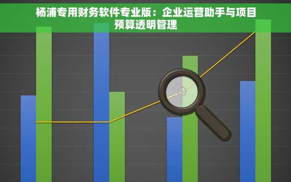 杨浦专用财务软件专业版：企业运营助手与项目预算透明管理