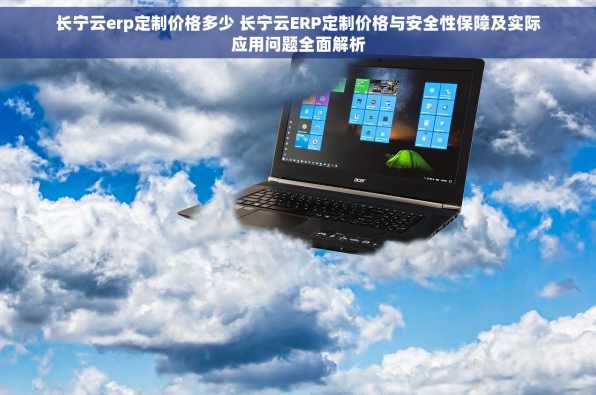 长宁云erp定制价格多少 长宁云ERP定制价格与安全性保障及实际应用问题全面解析