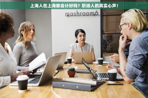 上海人在上海做会计好吗？职场人的真实心声！