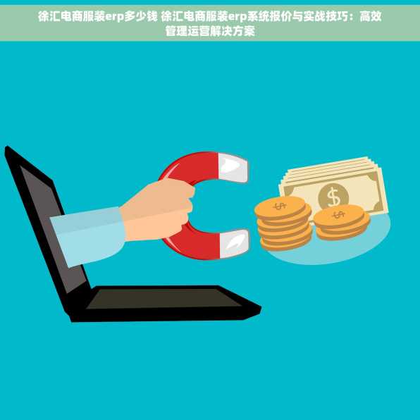 徐汇电商服装erp多少钱 徐汇电商服装erp系统报价与实战技巧：高效管理运营解决方案