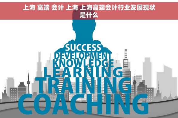 上海 高端 会计 上海 上海高端会计行业发展现状是什么