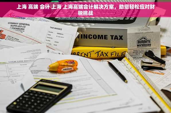上海 高端 会计 上海 上海高端会计解决方案，助您轻松应对财税挑战