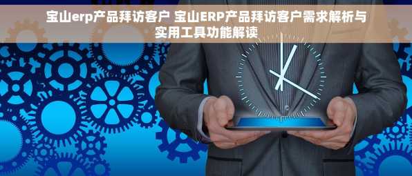 宝山erp产品拜访客户 宝山ERP产品拜访客户需求解析与实用工具功能解读