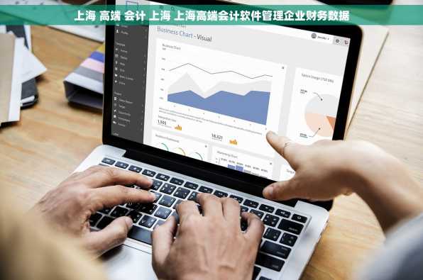 上海 高端 会计 上海 上海高端会计软件管理企业财务数据