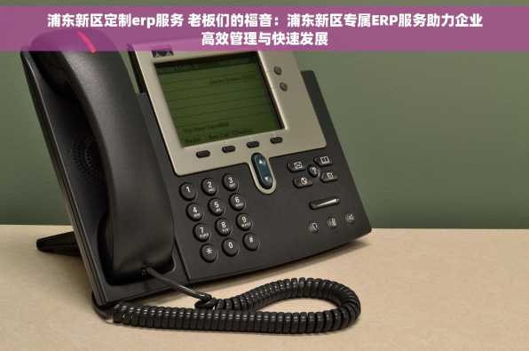 浦东新区定制erp服务 老板们的福音：浦东新区专属ERP服务助力企业高效管理与快速发展