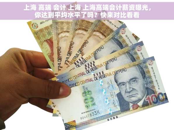 上海 高端 会计 上海 上海高端会计薪资曝光，你达到平均水平了吗？快来对比看看