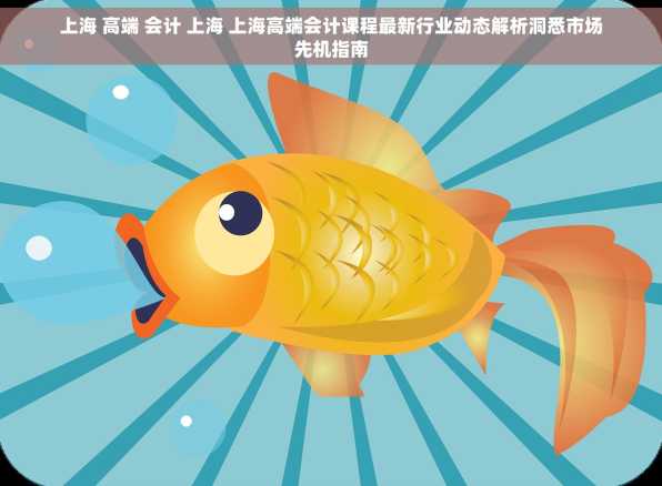 上海 高端 会计 上海 上海高端会计课程最新行业动态解析洞悉市场先机指南