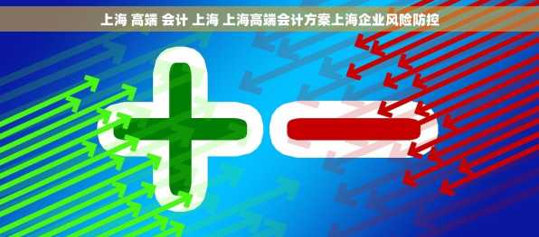 上海 高端 会计 上海 上海高端会计方案上海企业风险防控