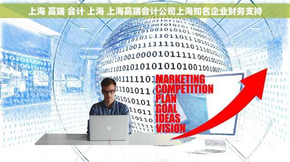 上海 高端 会计 上海 上海高端会计公司上海知名企业财务支持