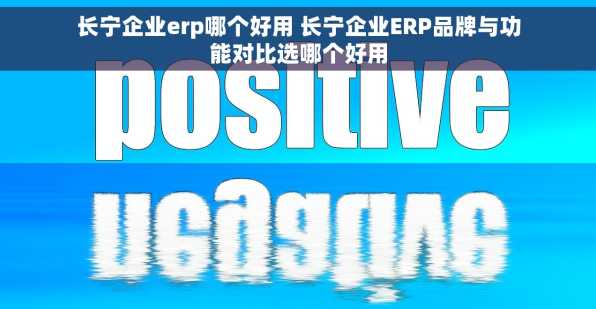 长宁企业erp哪个好用 长宁企业ERP品牌与功能对比选哪个好用