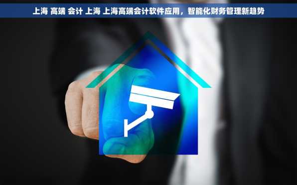 上海 高端 会计 上海 上海高端会计软件应用，智能化财务管理新趋势