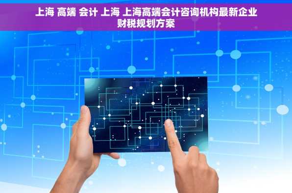 上海 高端 会计 上海 上海高端会计咨询机构最新企业财税规划方案