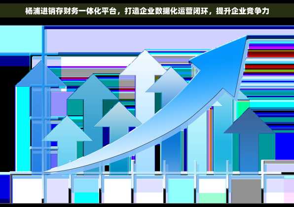 杨浦进销存财务一体化平台，打造企业数据化运营闭环，提升企业竞争力