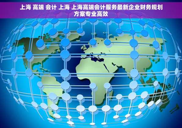 上海 高端 会计 上海 上海高端会计服务最新企业财务规划方案专业高效