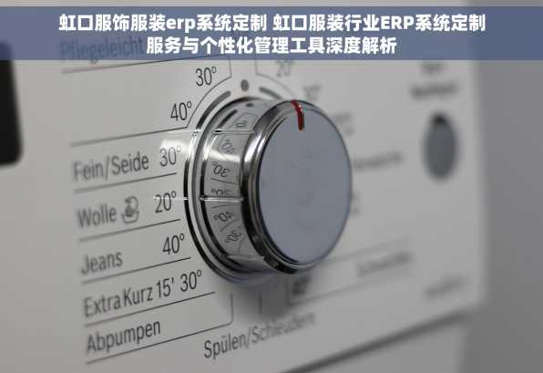 虹口服饰服装erp系统定制 虹口服装行业ERP系统定制服务与个性化管理工具深度解析