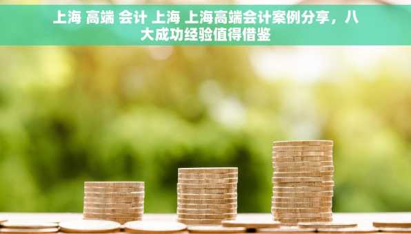 上海 高端 会计 上海 上海高端会计案例分享，八大成功经验值得借鉴