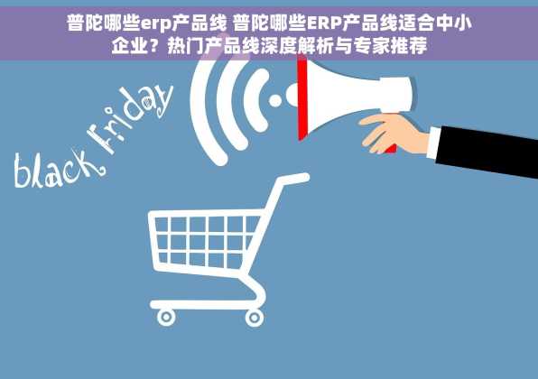 普陀哪些erp产品线 普陀哪些ERP产品线适合中小企业？热门产品线深度解析与专家推荐