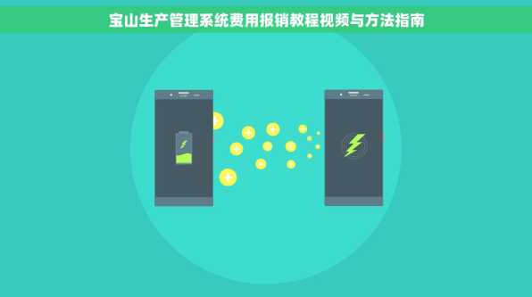 宝山生产管理系统费用报销教程视频与方法指南