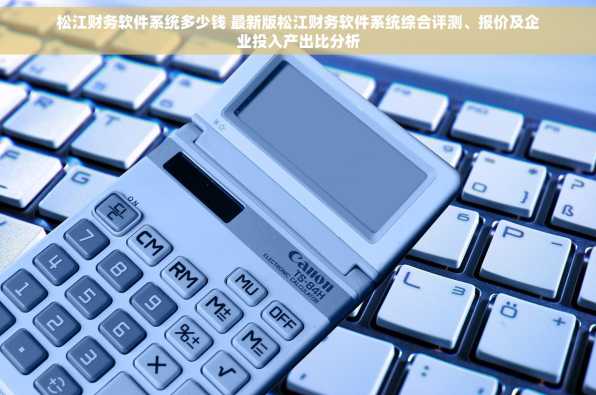 松江财务软件系统多少钱 最新版松江财务软件系统综合评测、报价及企业投入产出比分析