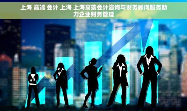 上海 高端 会计 上海 上海高端会计咨询与财务顾问服务助力企业财务管理