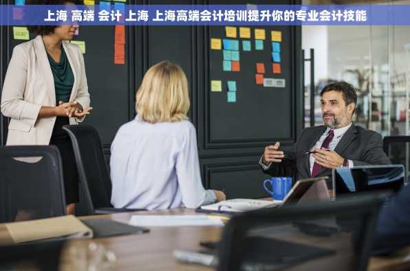上海 高端 会计 上海 上海高端会计培训提升你的专业会计技能