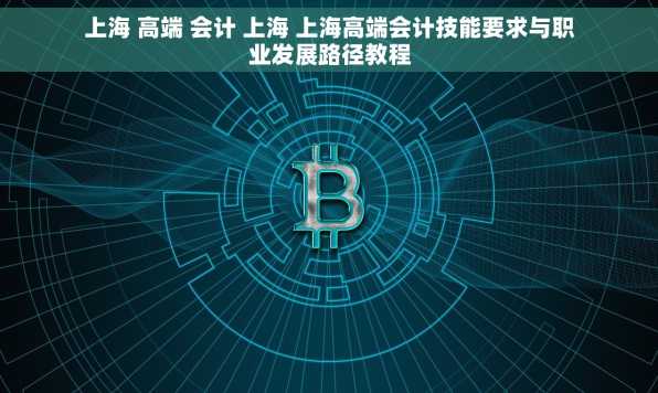 上海 高端 会计 上海 上海高端会计技能要求与职业发展路径教程