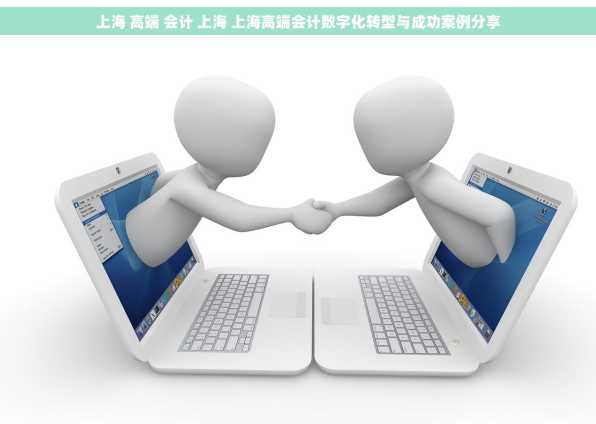 上海 高端 会计 上海 上海高端会计数字化转型与成功案例分享