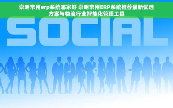 崇明常用erp系统哪家好 崇明常用ERP系统推荐最新优选方案与物流行业智能化管理工具