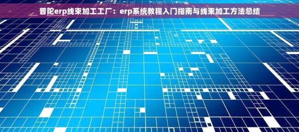 普陀erp线束加工工厂：erp系统教程入门指南与线束加工方法总结