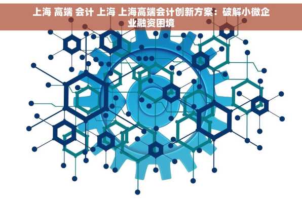 上海 高端 会计 上海 上海高端会计创新方案：破解小微企业融资困境