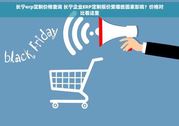 长宁erp定制价格查询 长宁企业ERP定制报价受哪些因素影响？价格对比看这里