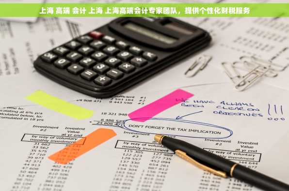 上海 高端 会计 上海 上海高端会计专家团队，提供个性化财税服务